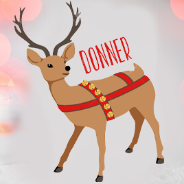 Reindeer - Alamin ang tungkol sa Santa's Reindeer- Reindeer FAQ'S.